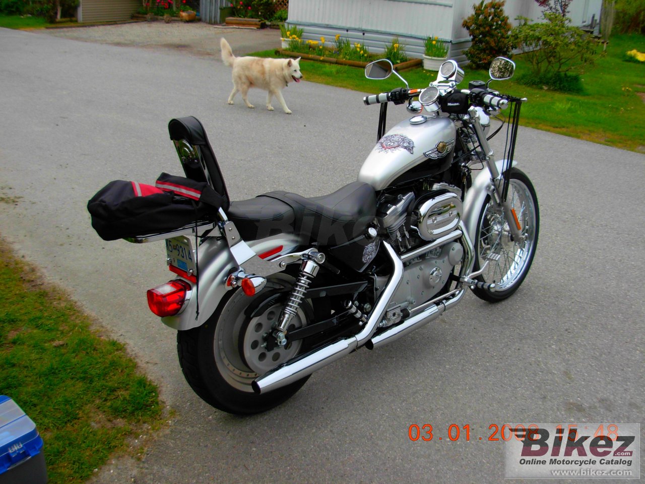 Thumbnail for Harley-Davidson XL 53C Sportster Custom 53 2003