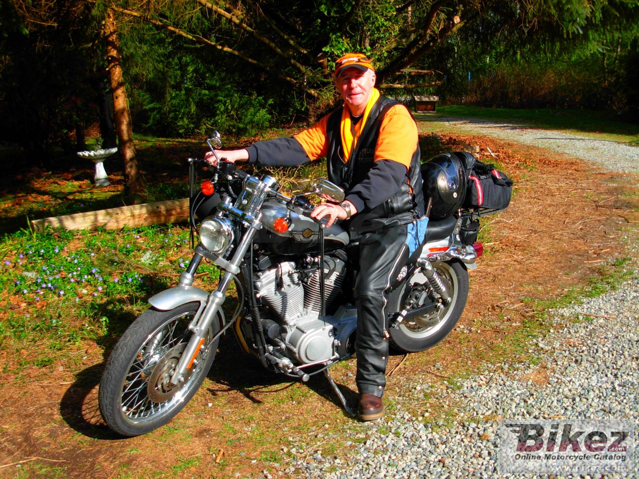 Thumbnail for Harley-Davidson XL 53C Sportster Custom 53 2003