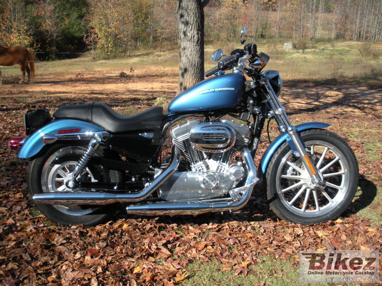 Thumbnail for Harley-Davidson XL 883 Sportster 2005