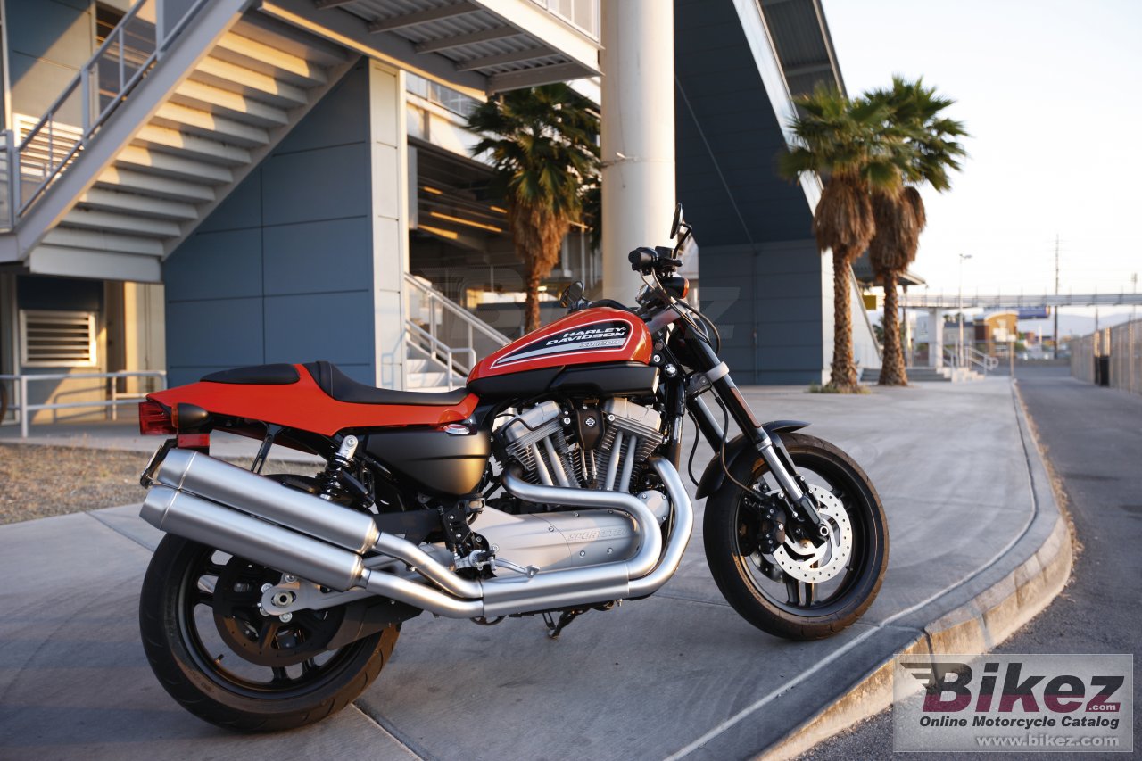 Thumbnail for Harley-Davidson XR1200 2010