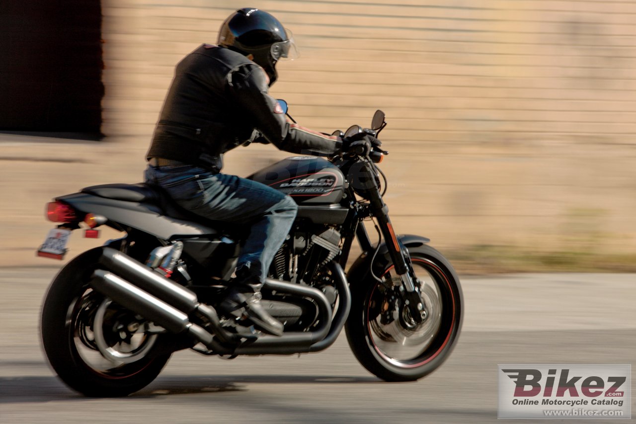 Thumbnail for Harley-Davidson XR 1200X 2011