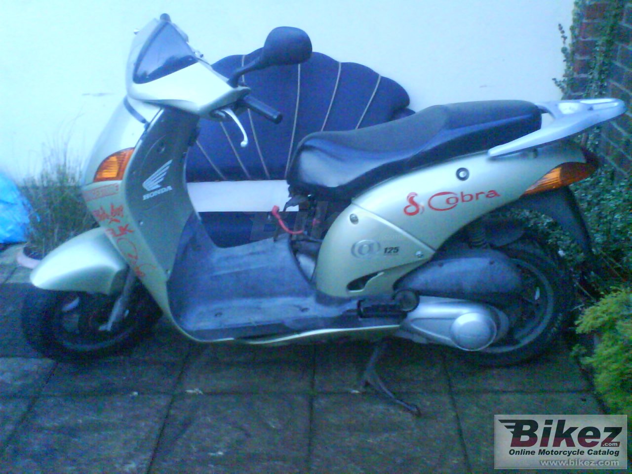 Honda @ 125