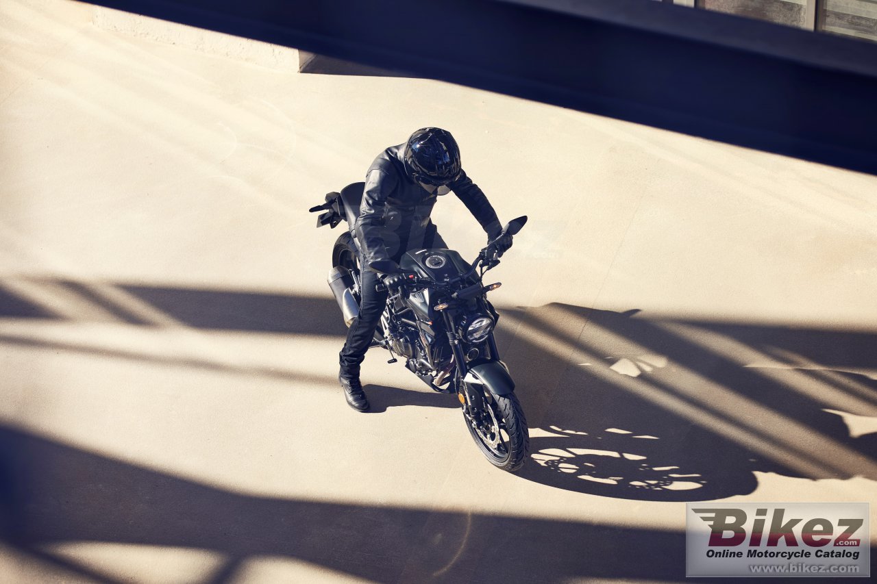 Thumbnail for Honda CB300R 2022
