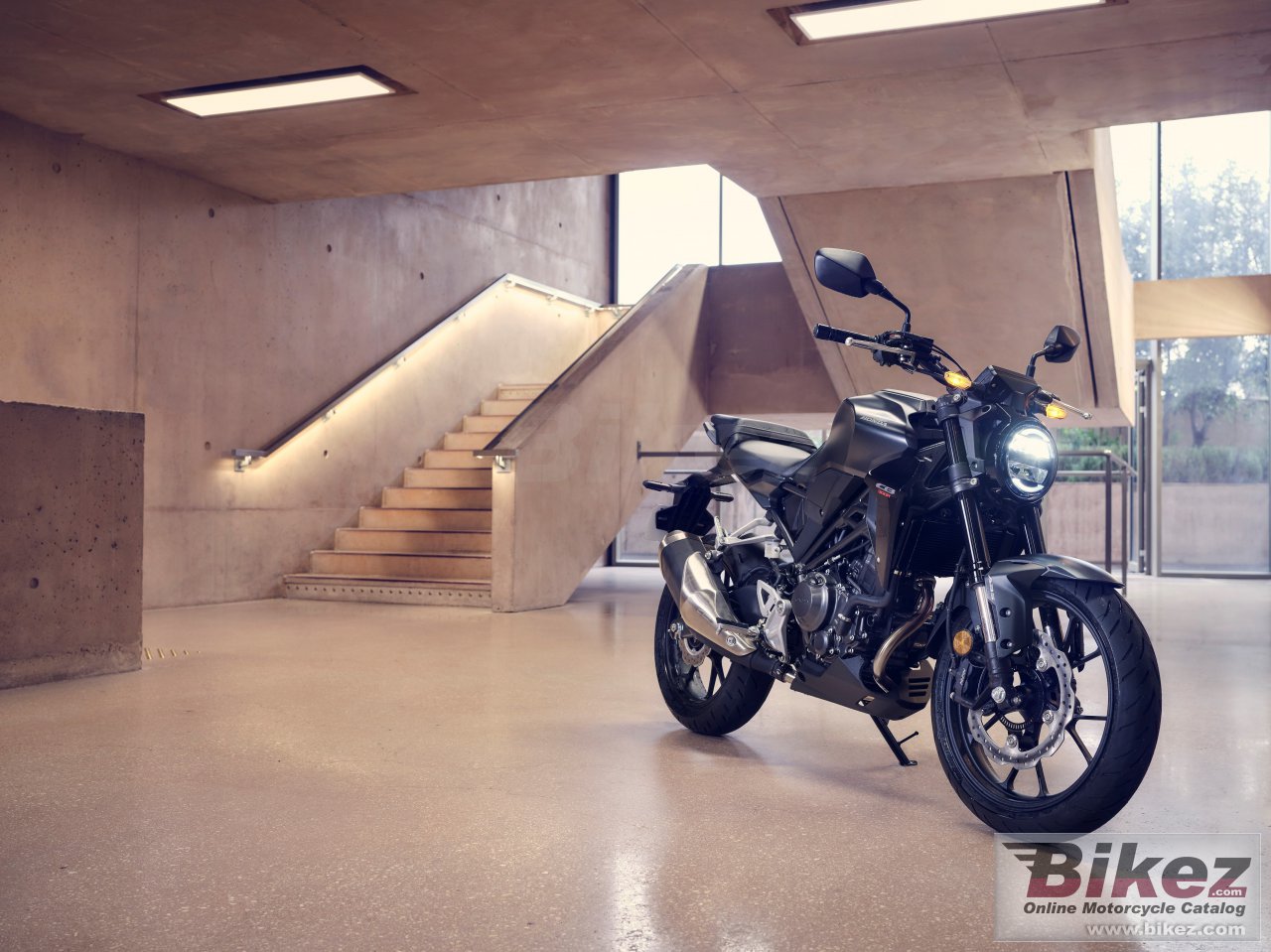 Thumbnail for Honda CB300R 2022