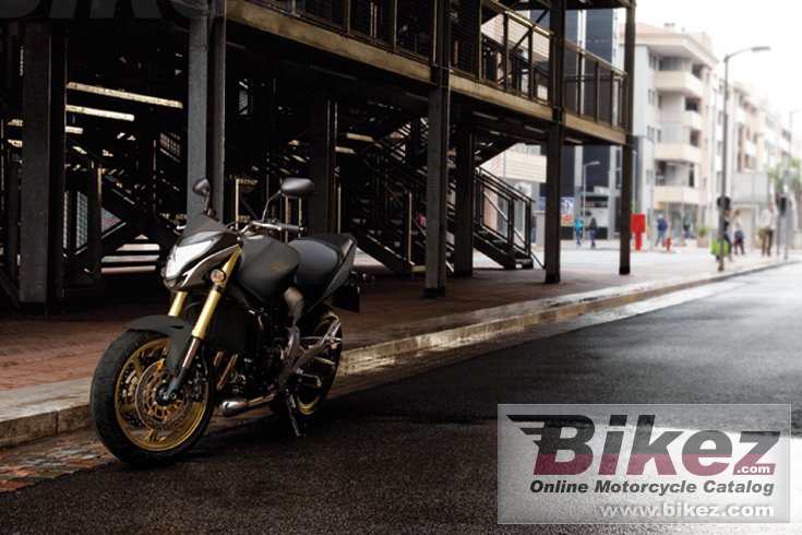 Thumbnail for Honda CB600F Hornet 600 2013