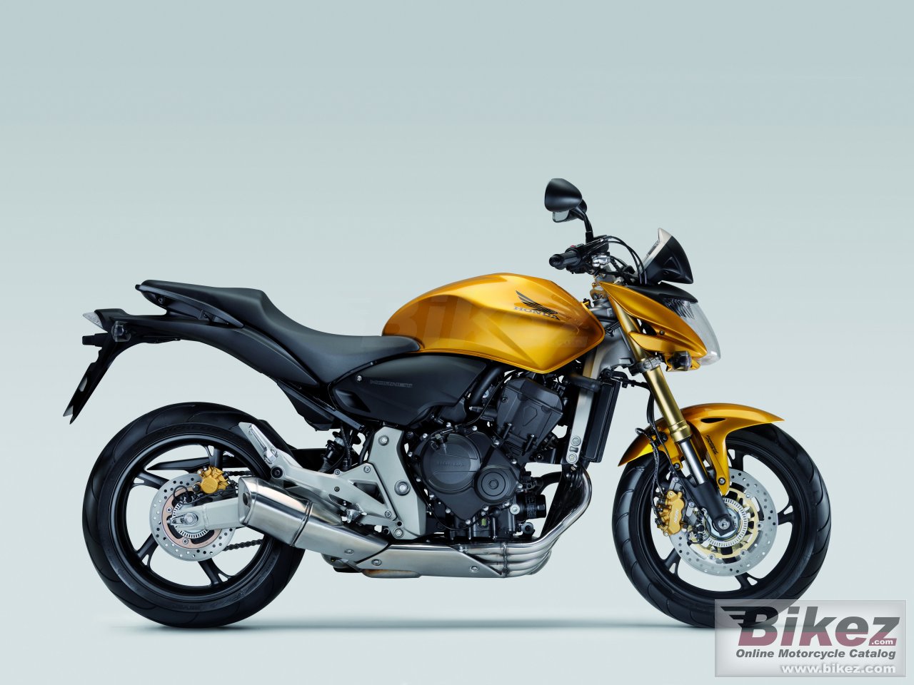Thumbnail for Honda CB 600 F Hornet 2008