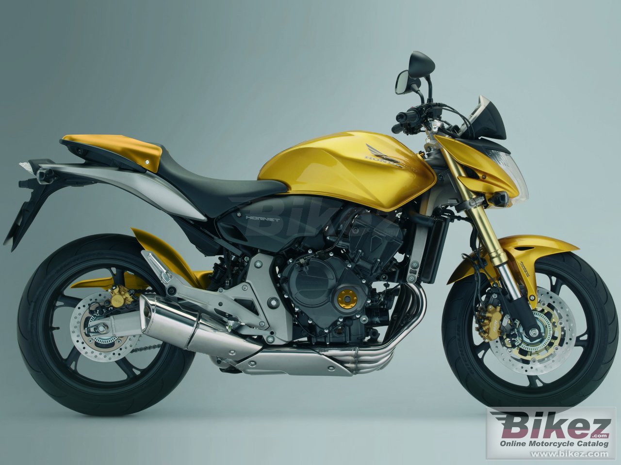 Thumbnail for Honda CB 600 F Hornet 2008