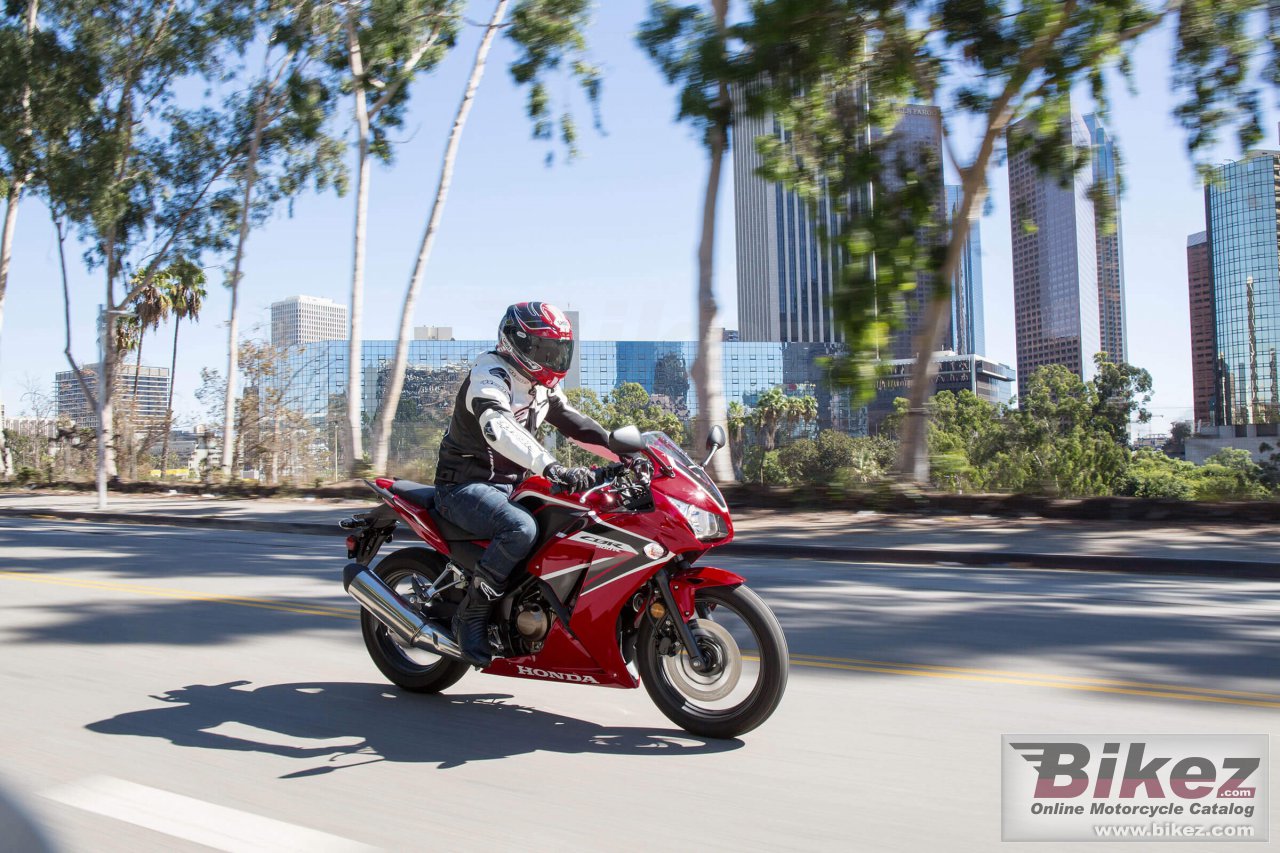 Thumbnail for Honda CBR300R 2023