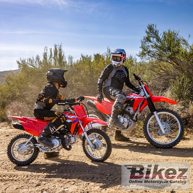 Thumbnail for Honda CRF110F 2024