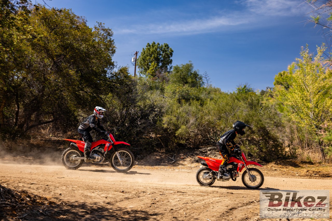 Thumbnail for Honda CRF110F 2025