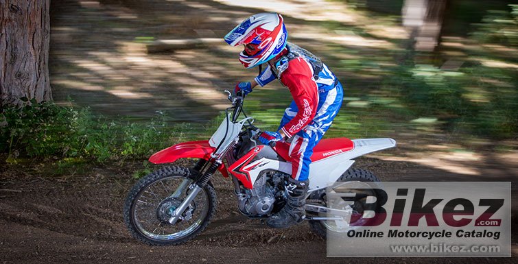 Thumbnail for Honda CRF125F Big Wheel 2018
