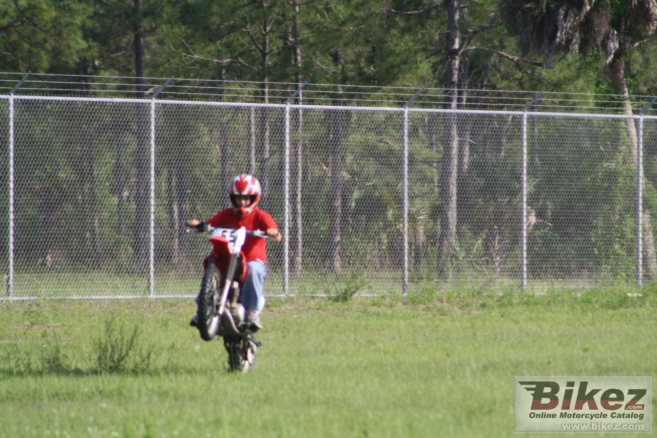 Thumbnail for Honda CRF 150 F 2007