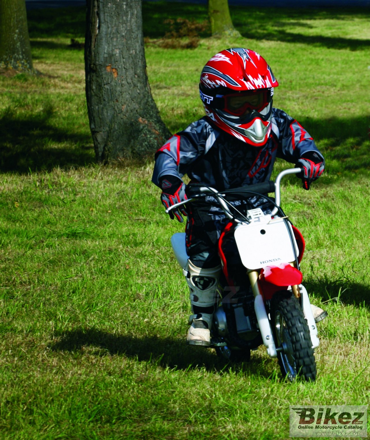 Thumbnail for Honda CRF 50 F 2008