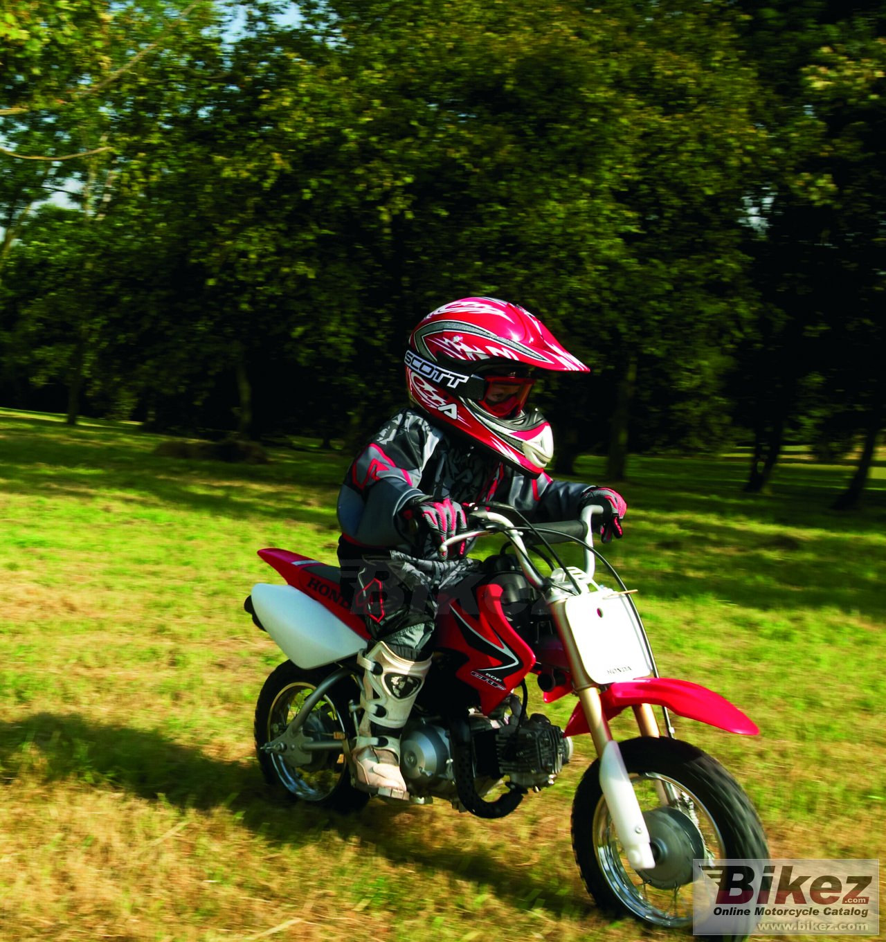 Thumbnail for Honda CRF 50 F 2008
