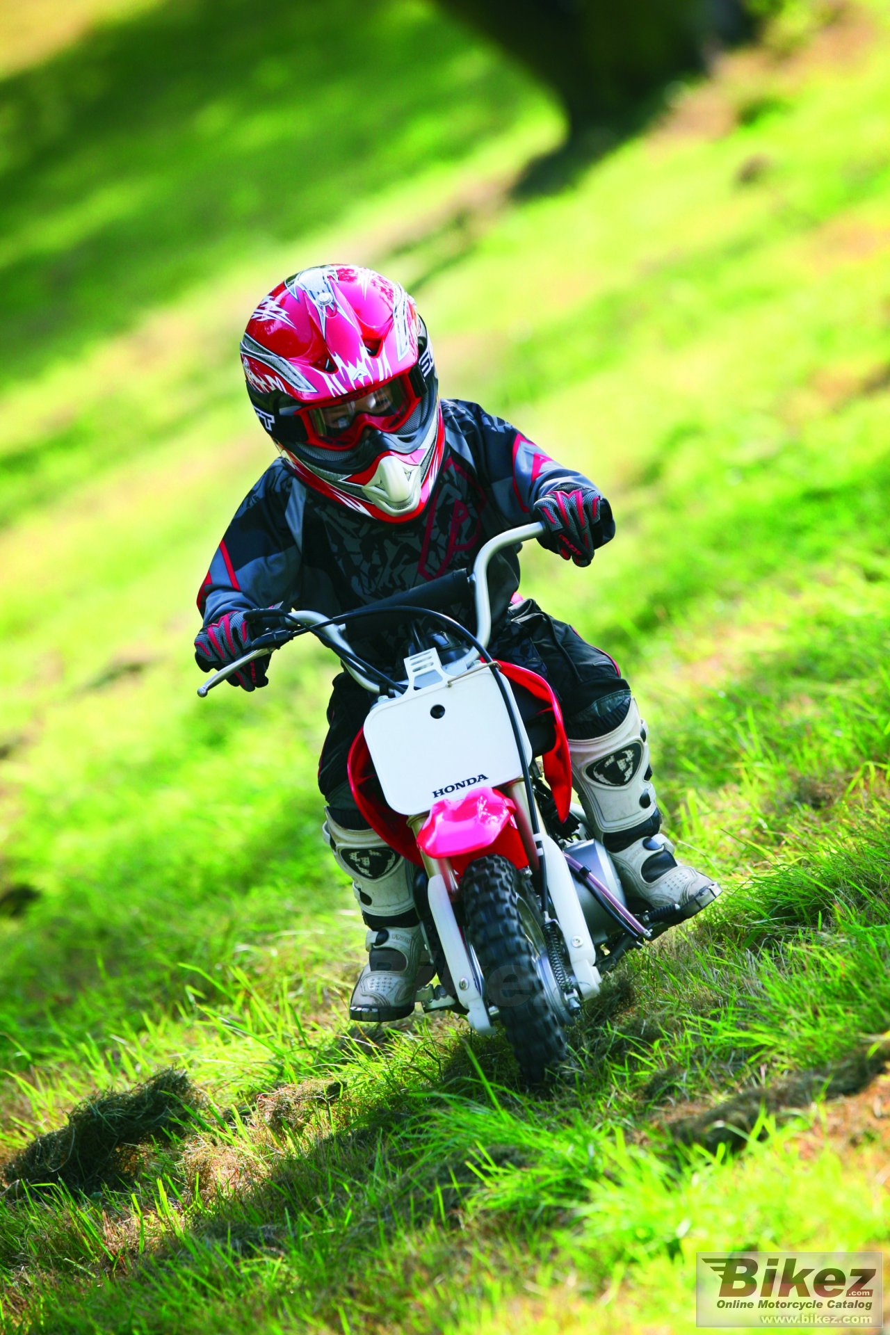 Thumbnail for Honda CRF 50 F 2008