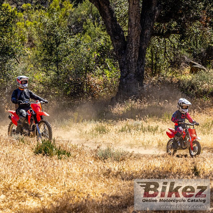 Thumbnail for Honda CRF 50 F 2024