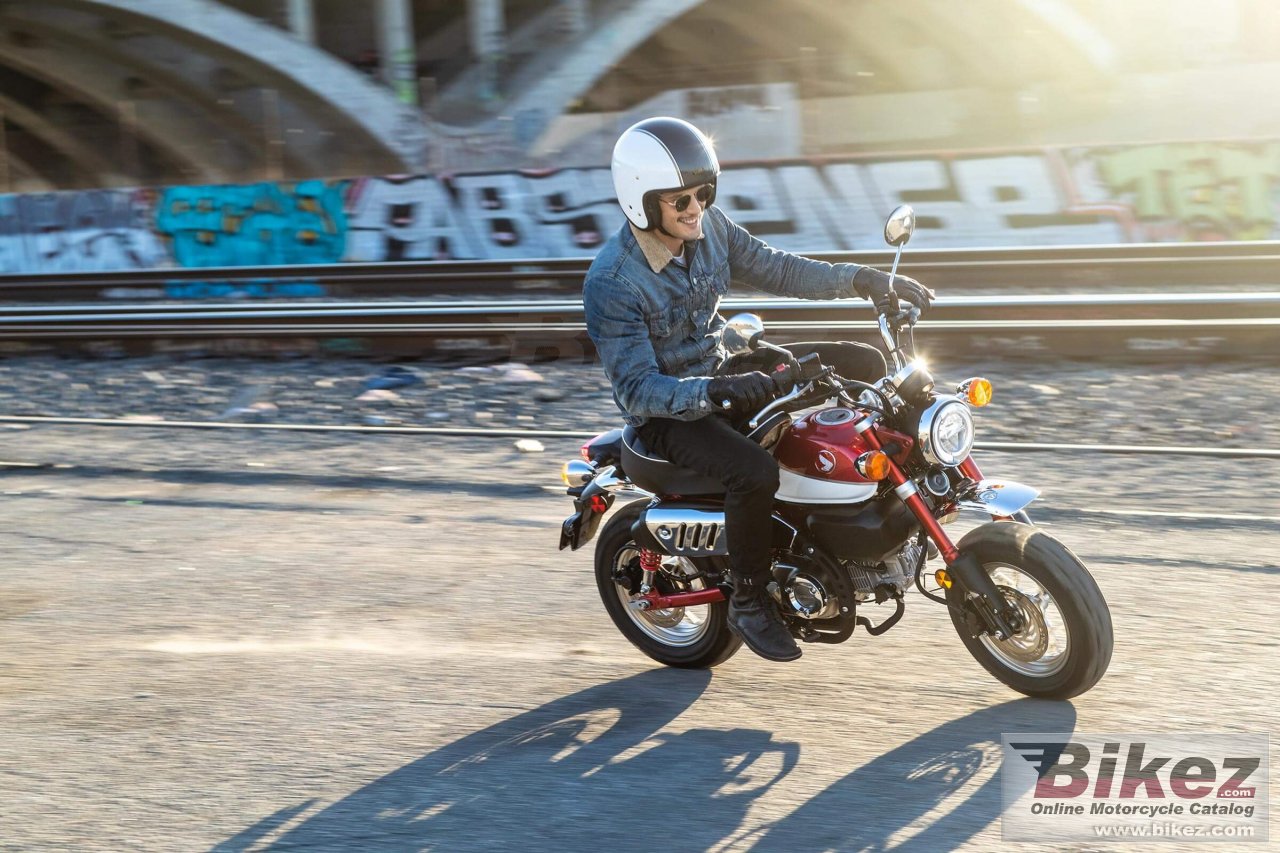 Thumbnail for Honda Monkey 2021