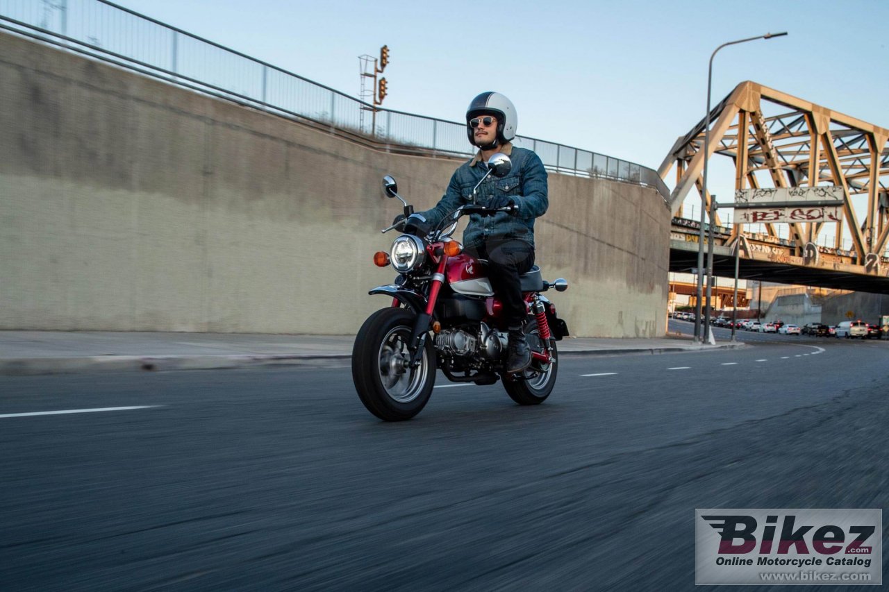 Thumbnail for Honda Monkey 2021