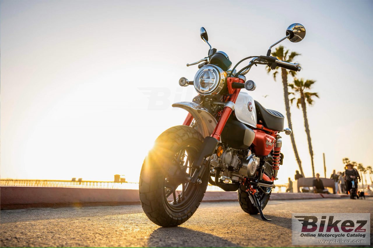 Thumbnail for Honda Monkey 2025