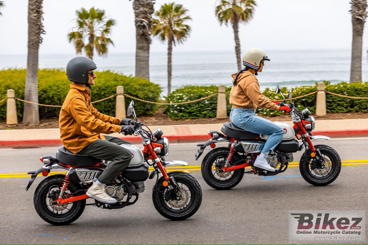 Thumbnail for Honda Monkey 2025