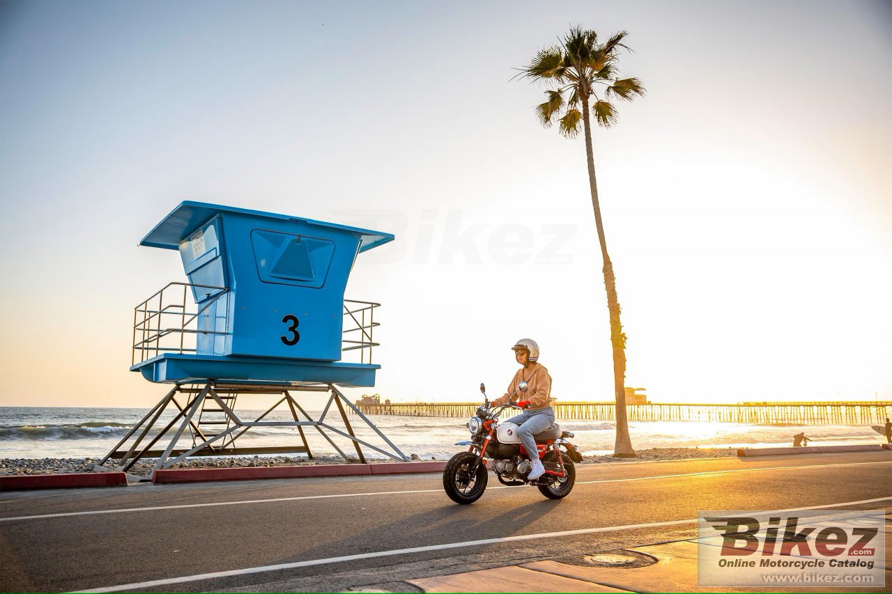 Thumbnail for Honda Monkey 2025