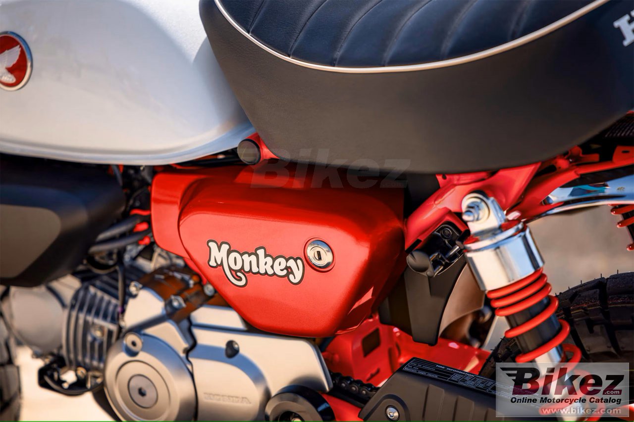 Thumbnail for Honda Monkey 2025