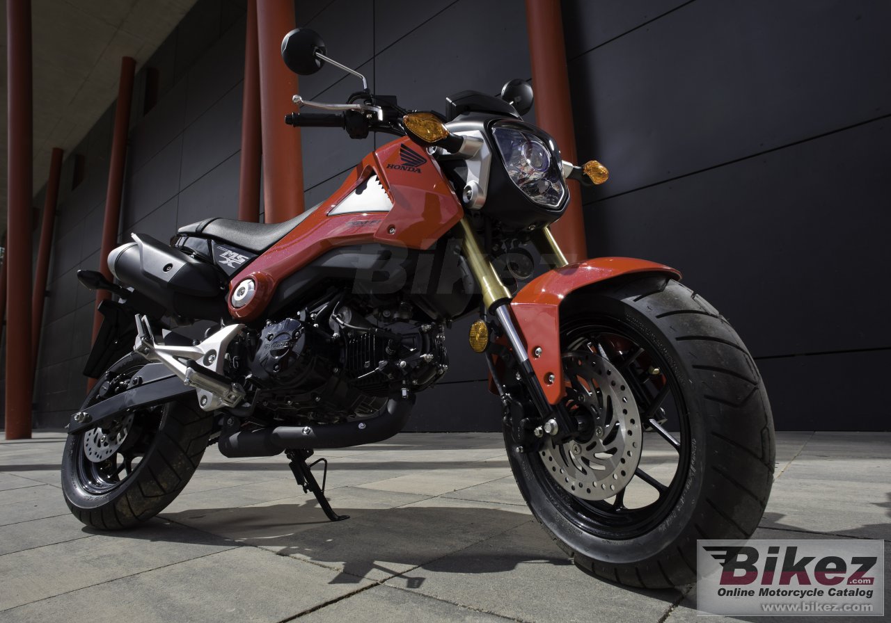 Thumbnail for Honda MSX125 2015
