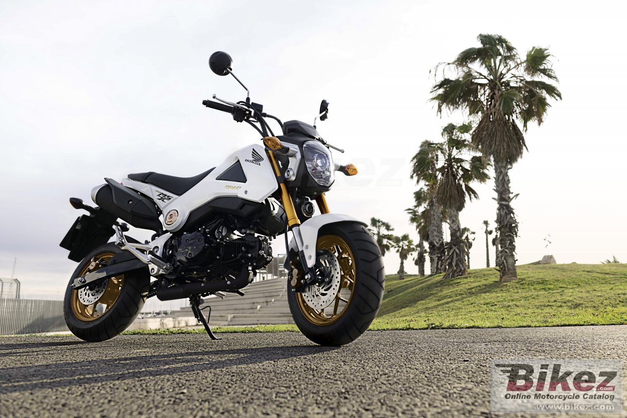 Thumbnail for Honda MSX125 2015