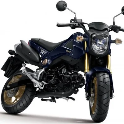 Thumbnail for Honda MSX 125 2014