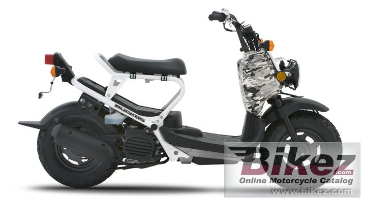 Thumbnail for Honda Ruckus 2007