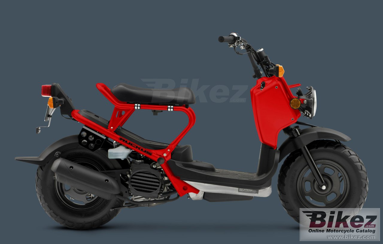 Thumbnail for Honda Ruckus 2009