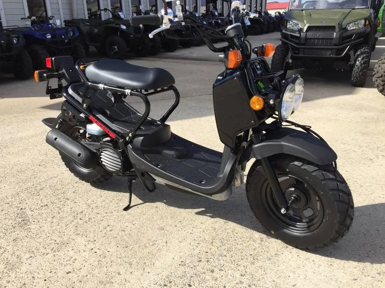 Thumbnail for Honda Ruckus 2010