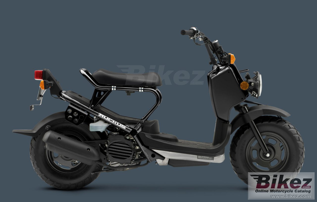 Honda Ruckus