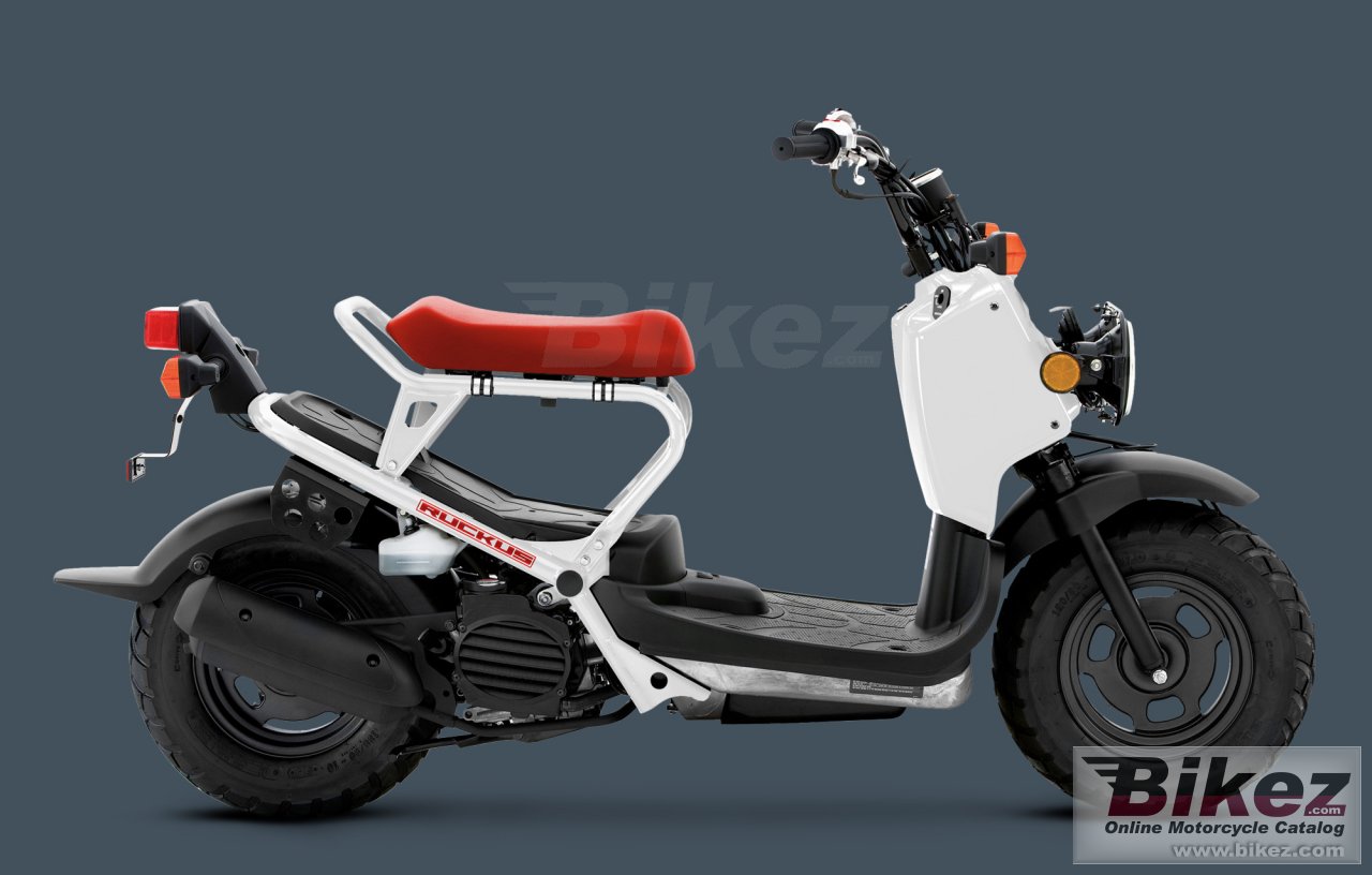 Thumbnail for Honda Ruckus 2012