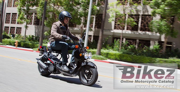 Thumbnail for Honda Ruckus 2018