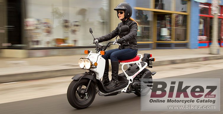 Thumbnail for Honda Ruckus 2018