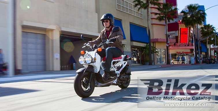 Thumbnail for Honda Ruckus 2018