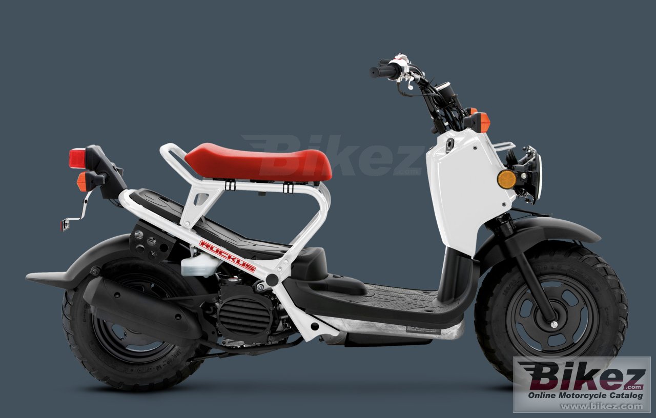 Honda Ruckus