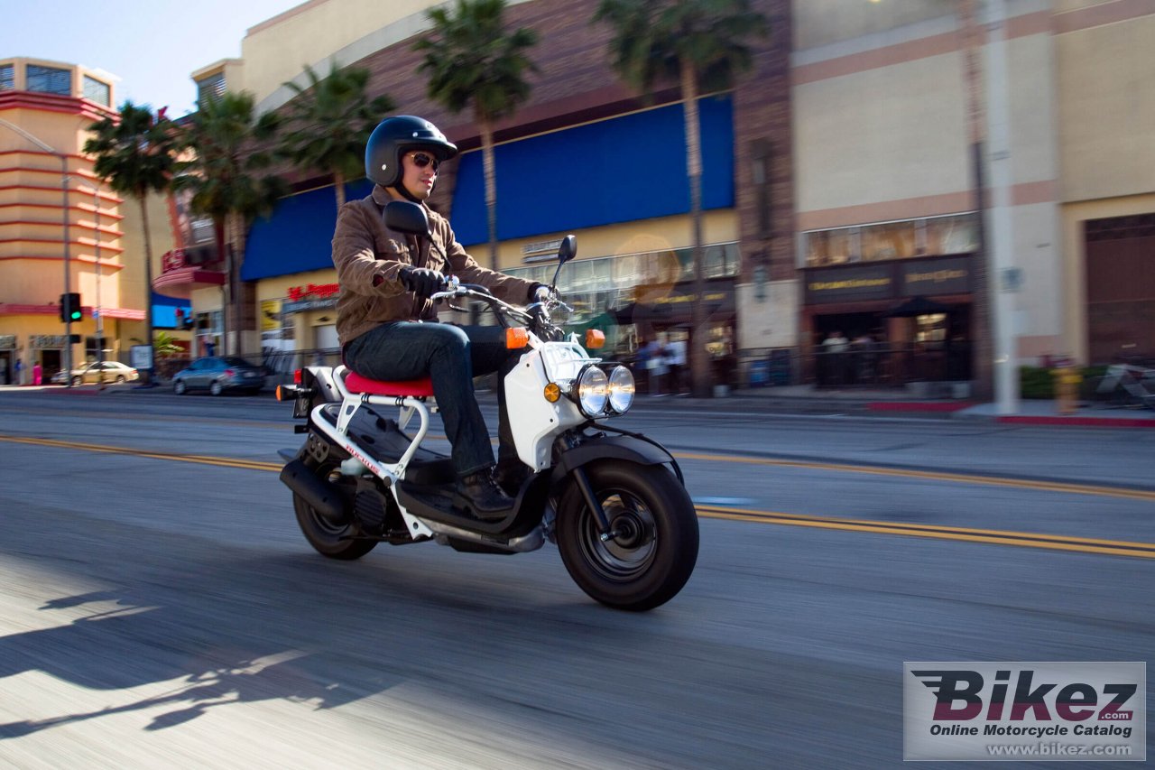 Thumbnail for Honda Ruckus 2020