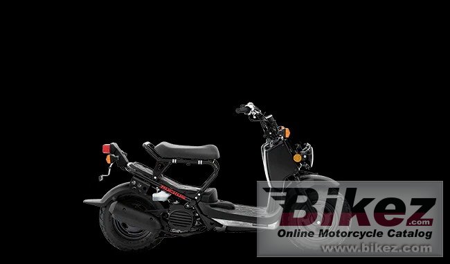 Thumbnail for Honda Ruckus 2020