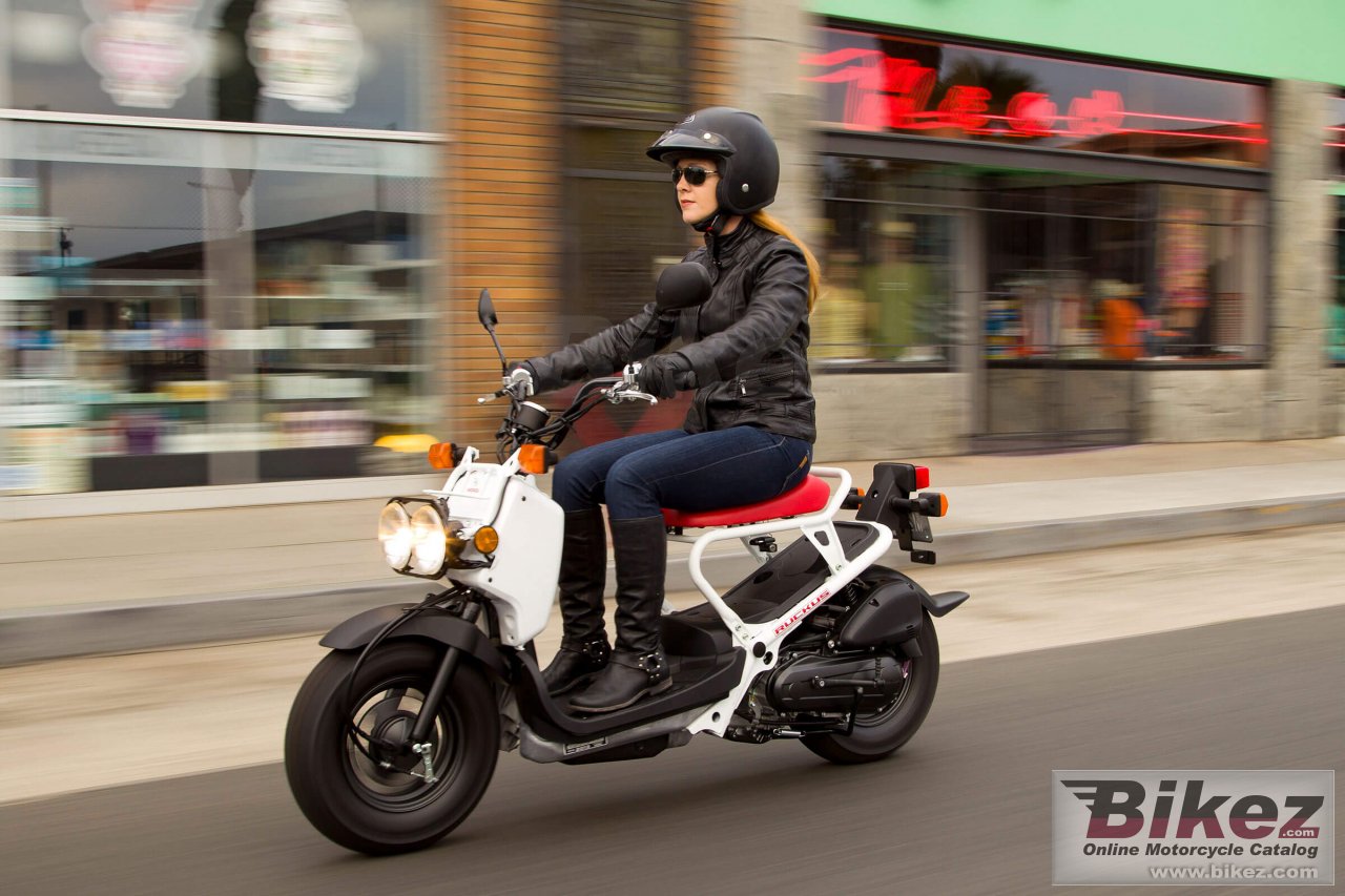 Thumbnail for Honda Ruckus 2020