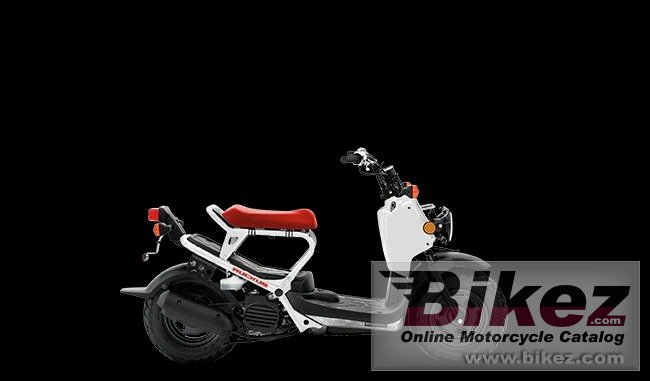 Honda Ruckus