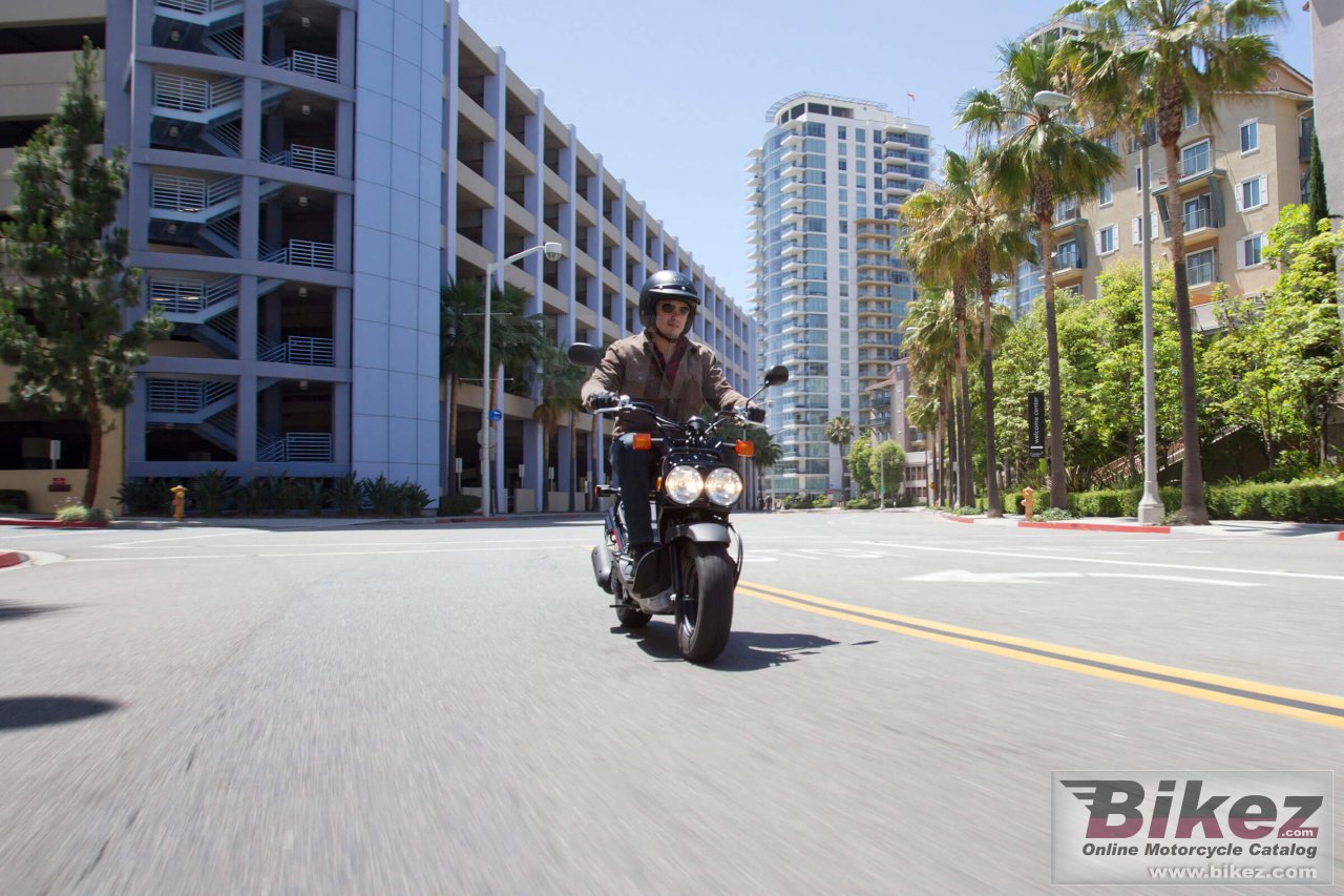Thumbnail for Honda Ruckus 2020