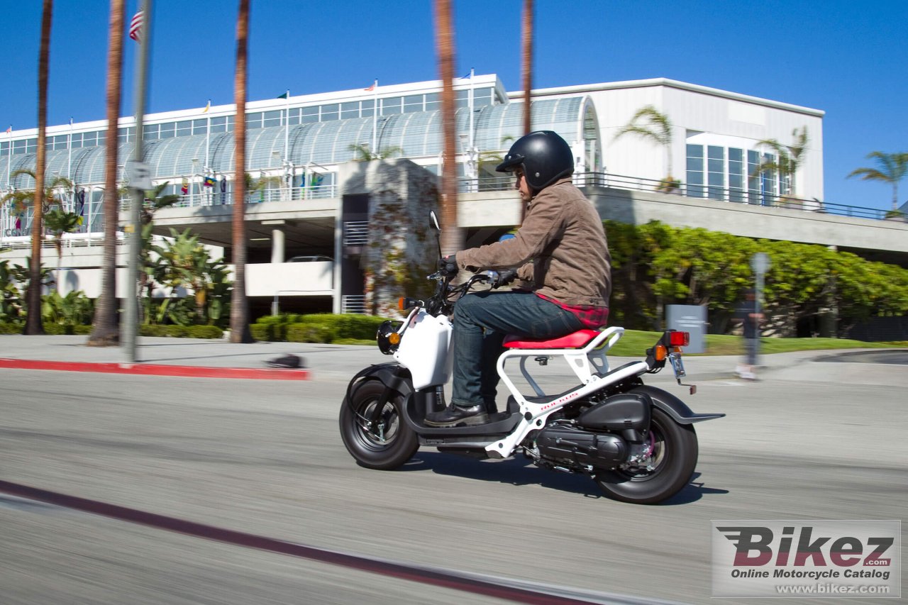 Thumbnail for Honda Ruckus 2020