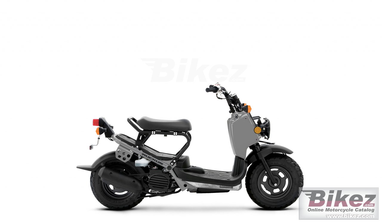 Thumbnail for Honda Ruckus 2021