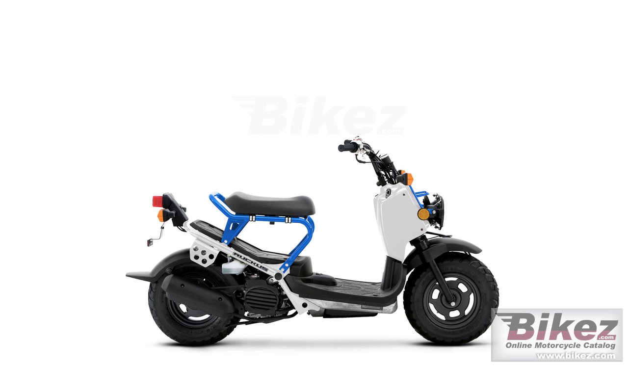 Thumbnail for Honda Ruckus 2021