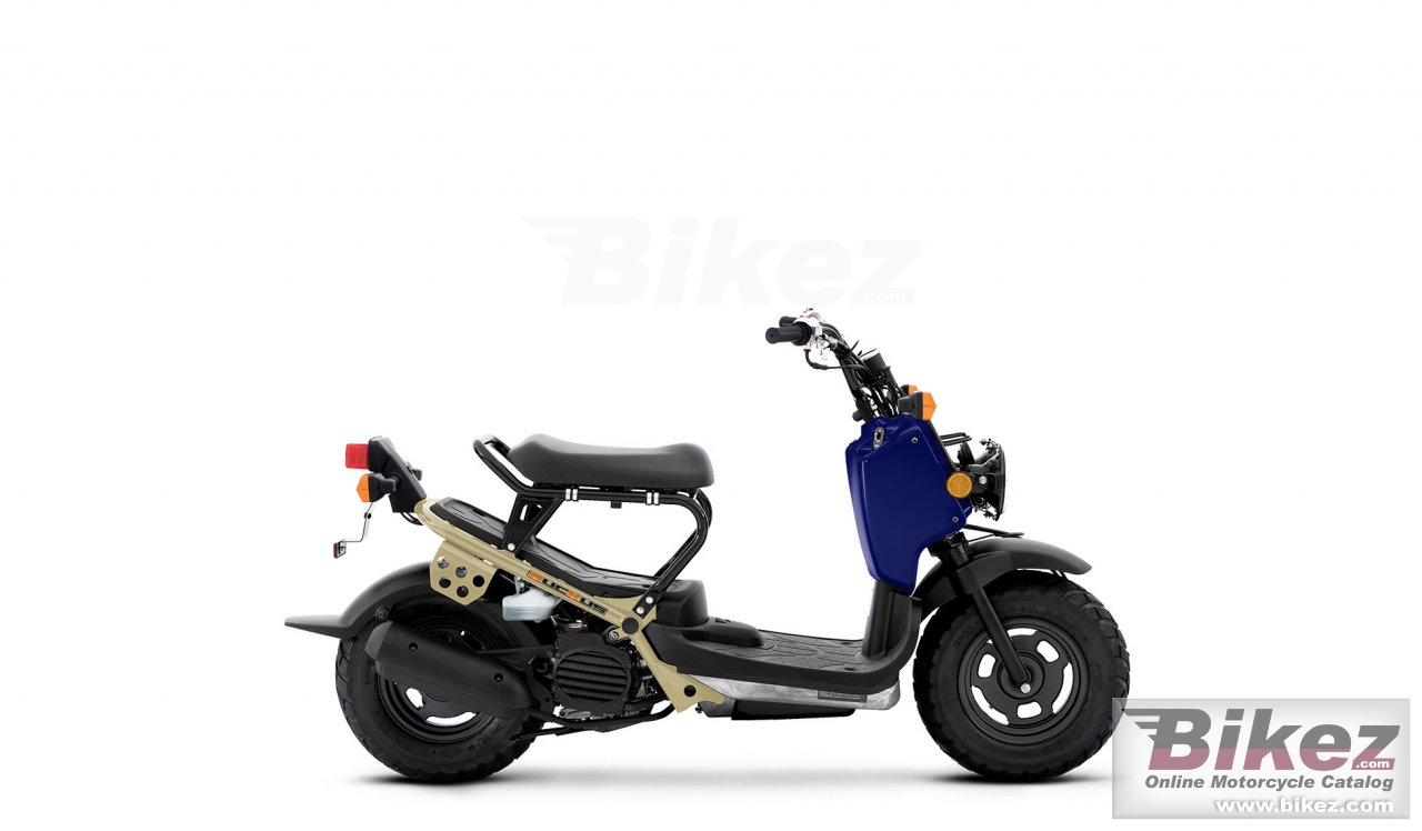 Honda Ruckus