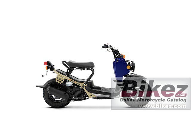 Honda Ruckus
