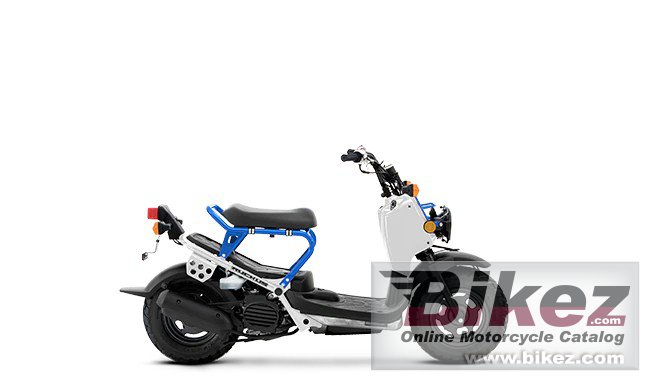 Thumbnail for Honda Ruckus 2023