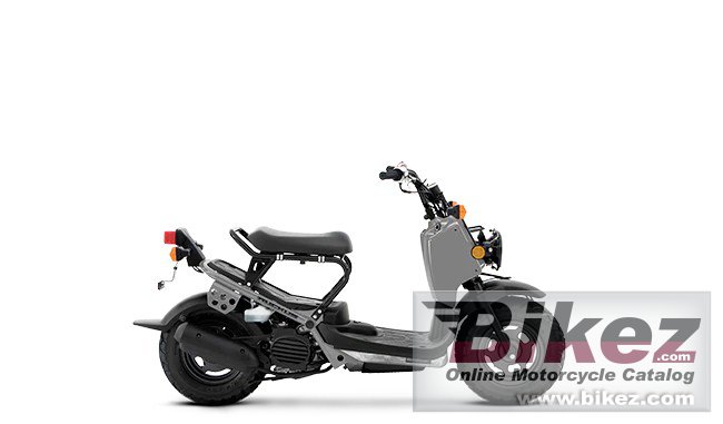 Thumbnail for Honda Ruckus 2023